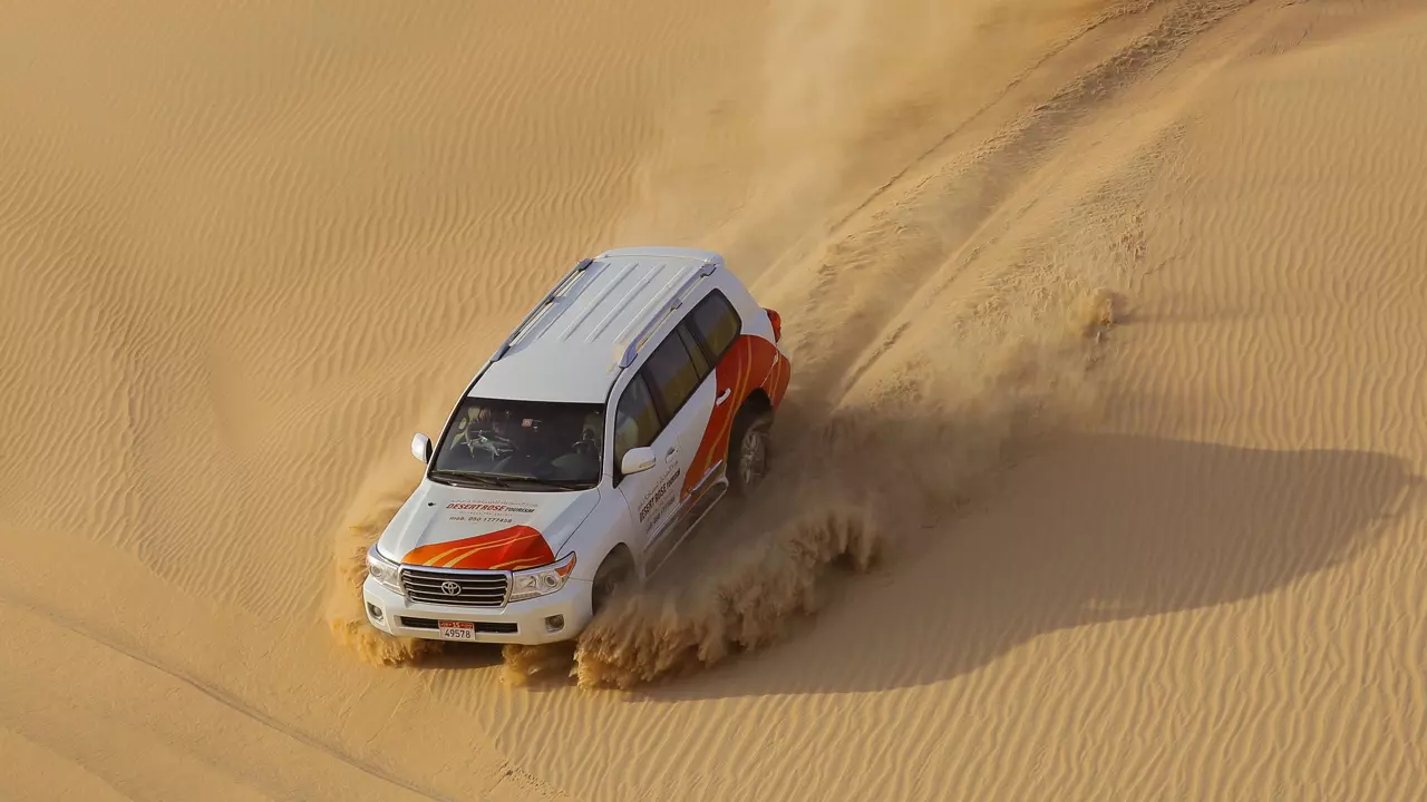 Desert Safari in Abu Dhabi - Photo 6