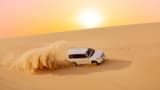 Desert Safari in Abu Dhabi - Photo 32