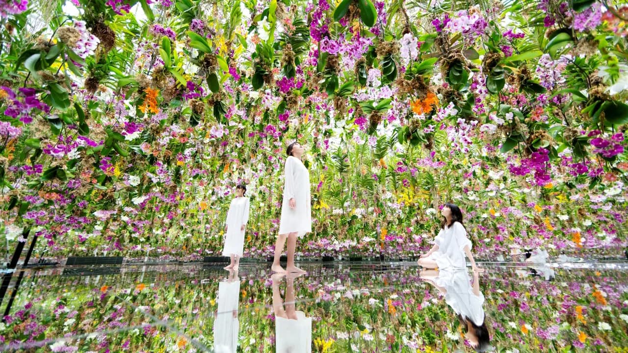 teamLab Planets TOKYO Ticket - Photo 27