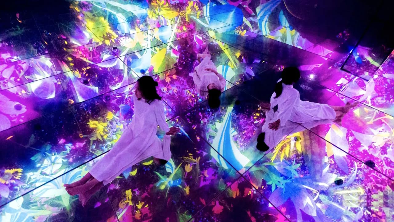 teamLab Planets TOKYO Ticket - Photo 33