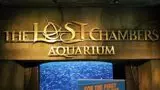 Lost World Aquarium - Photo 5