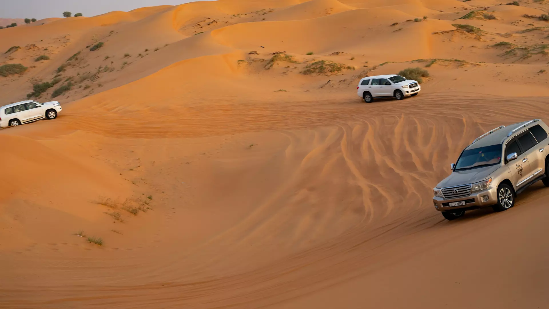 Desert Safari in Ras Al-Khaimah & Fujeirah - Photo 43