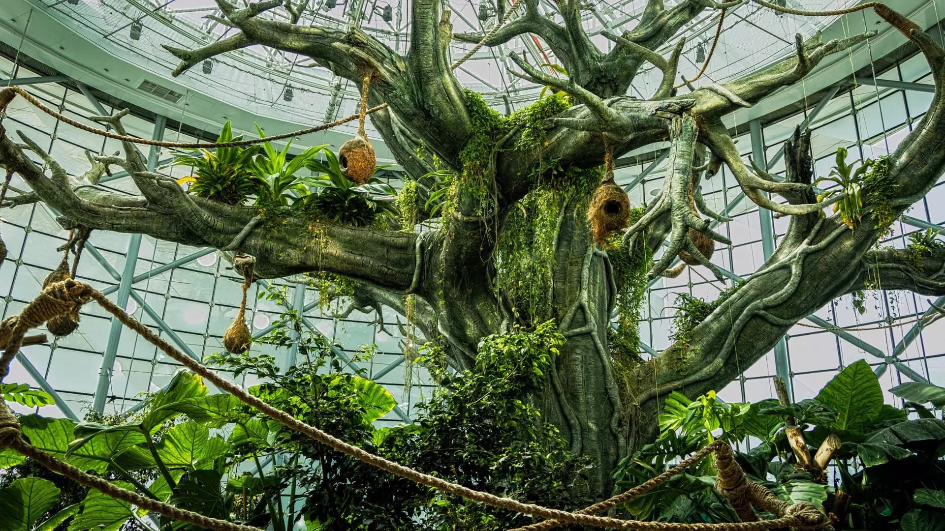 The Green Planet - Photo 32