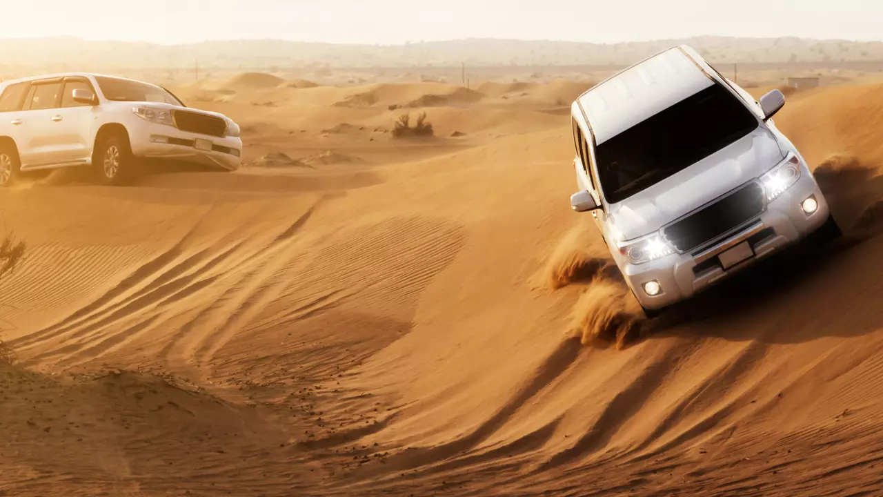 Morning Desert Safari Dubai - Photo 2