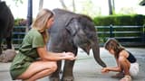 Mason Elephant Park Bali by Mason Adventures (Formerly known as Elephant Safari Park) - Photo 14