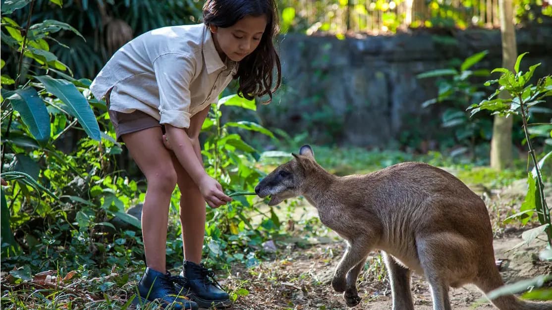 Bali Zoo Ticket - Photo 18