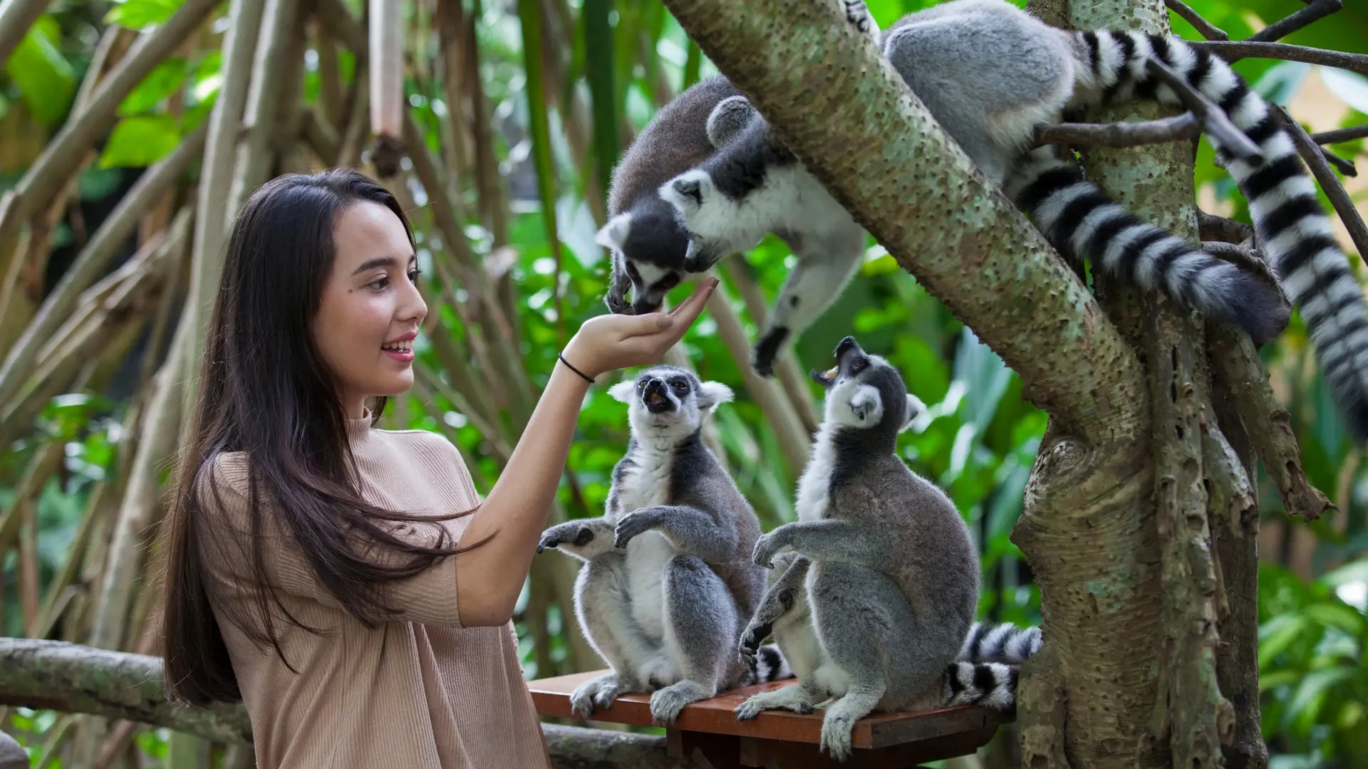 Bali Zoo Ticket - Photo 19