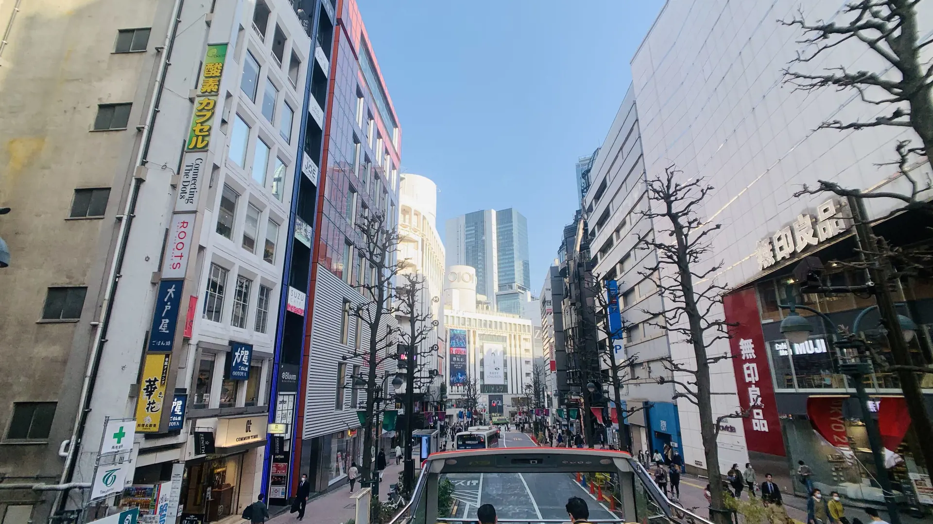 Tokyo Sky Hop-on Hop-off Sightseeing Bus - Photo 21